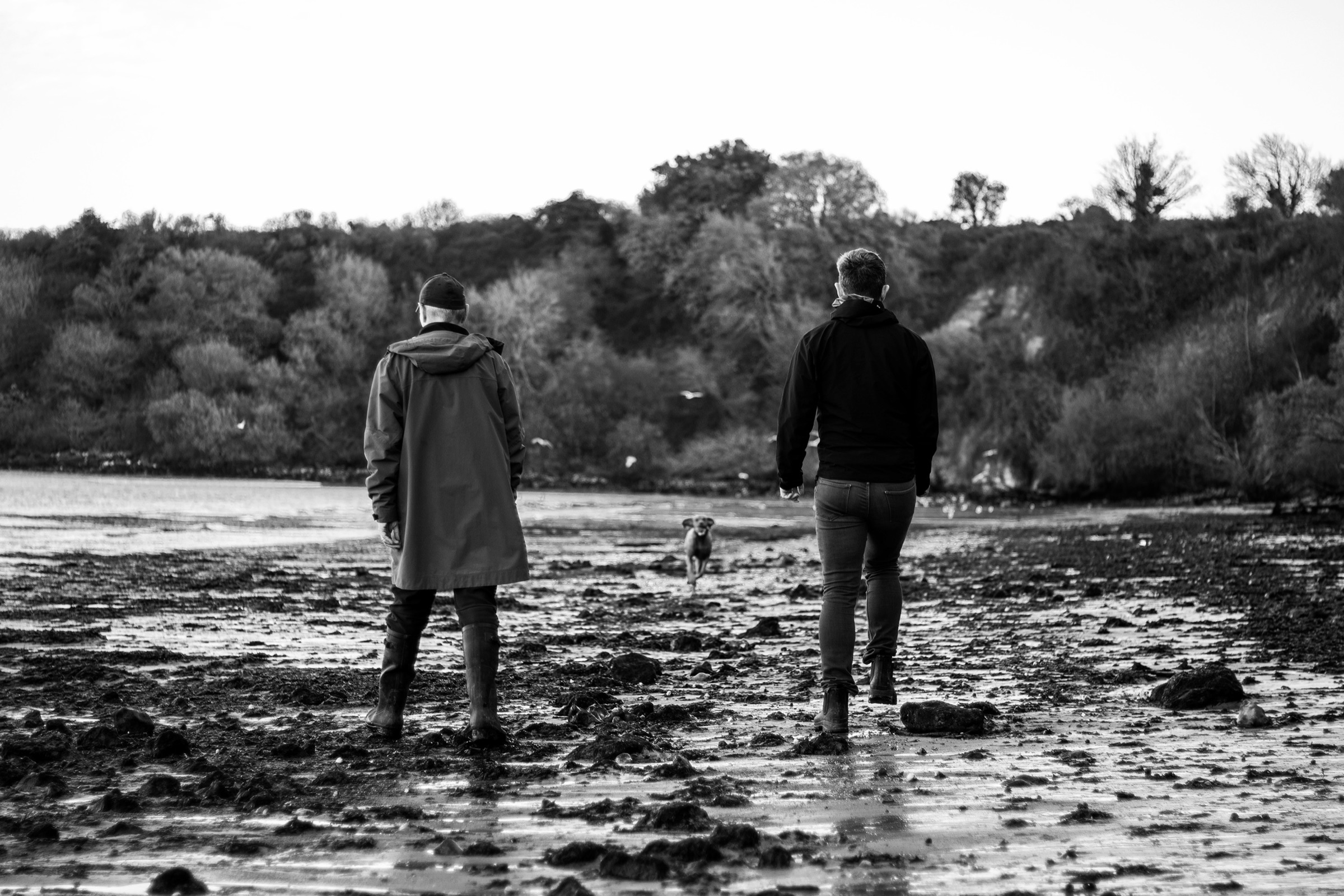 Father, son and dog at the beach — family moments